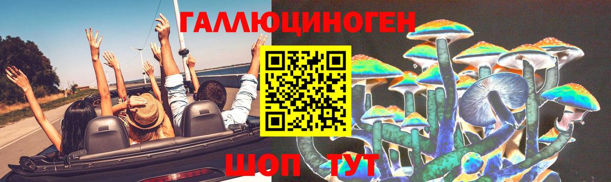 Галлюциногенные грибы мухоморы Десногорск